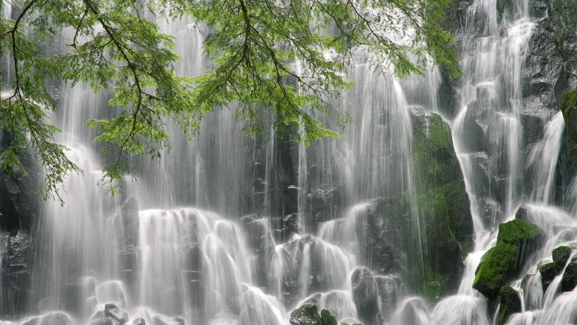 世界举重青训营康复训练教材与导师示范课程第十六批上线通知,世界举重冠军赛